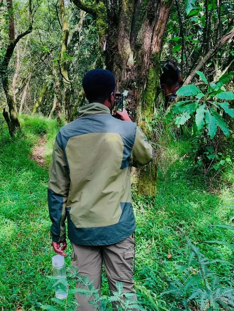Guide filming a forest trail moment in Uganda