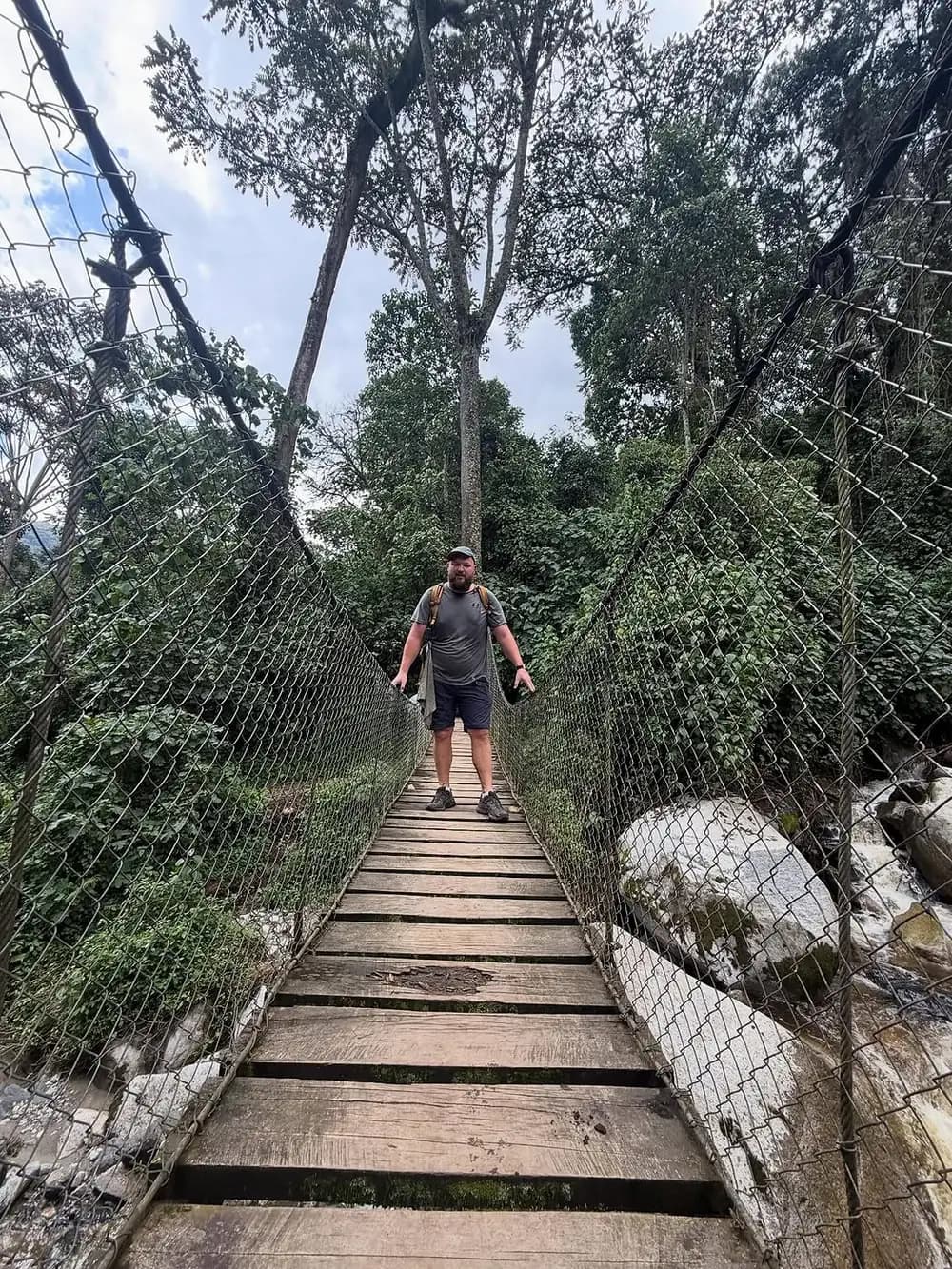 Rwenzori suspension bridge on a mountain trekking route
