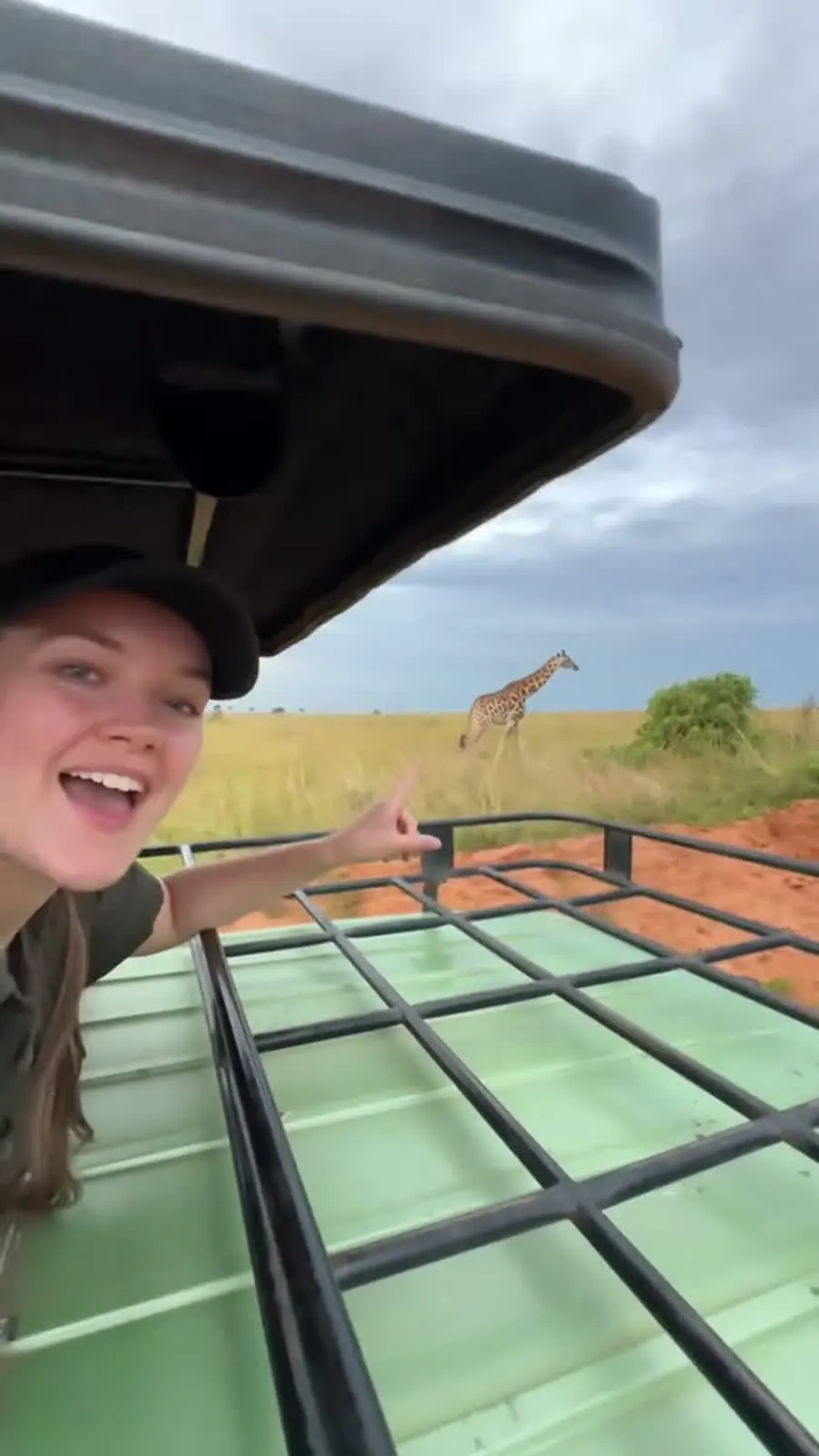 Giraffe safari drive scene in Uganda