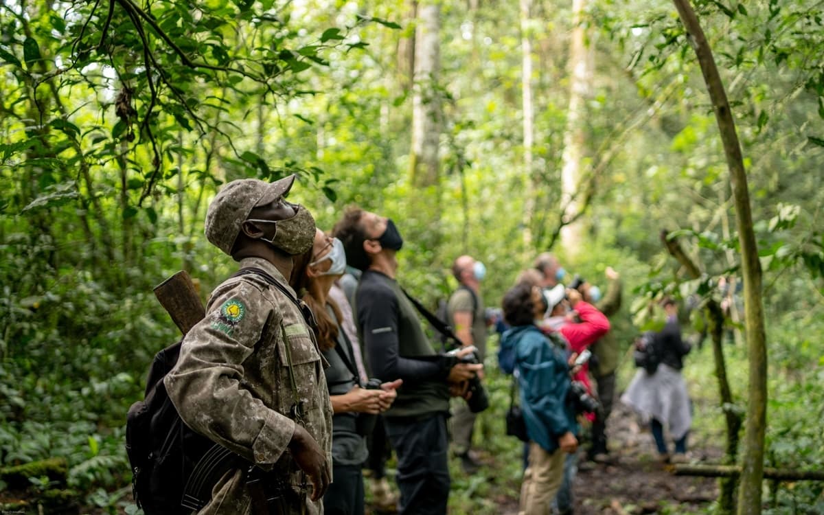 What does gorilla trekking in Uganda really cost?