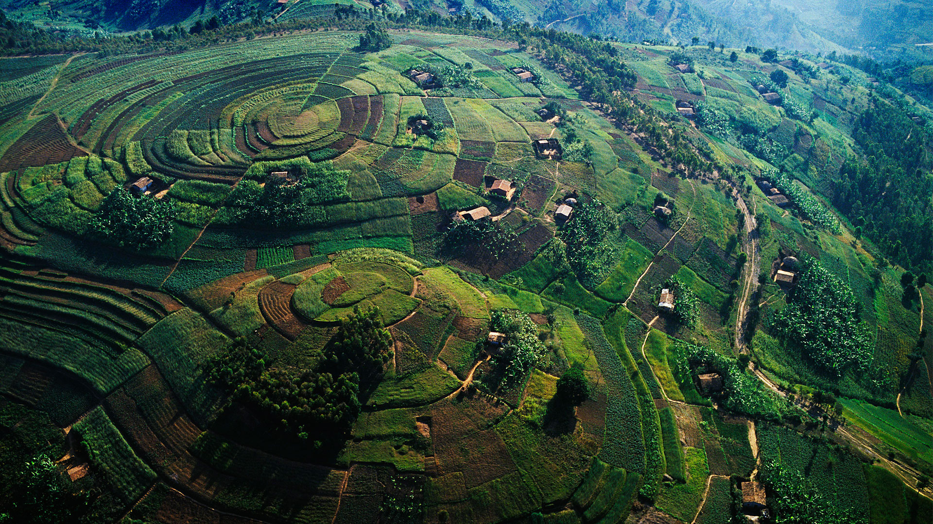 Rwenzori Mountains